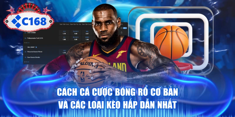 Cách Cá Cược Bóng Rổ