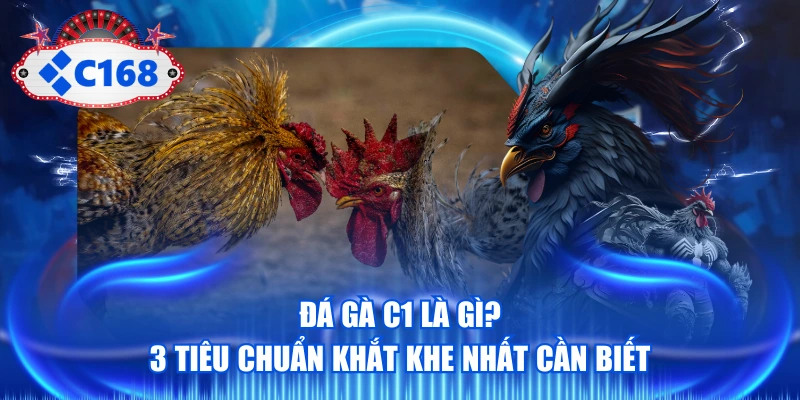 Đá Gà C1 Là Gì? 3 Tiêu Chuẩn Khắt Khe Nhất Cần Biết 1 Đá Gà C1 Là Gì? 3 Tiêu Chuẩn Khắt Khe Nhất Cần Biết