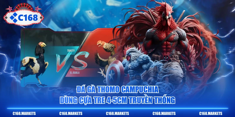 Chi Tiết Đá Gà Thomo - Luật Chơi 10 Hiệp X 60 Giây Đặc Trưng 2 Đá Gà Thomo Campuchia dùng cựa tre 4-5cm truyền thống