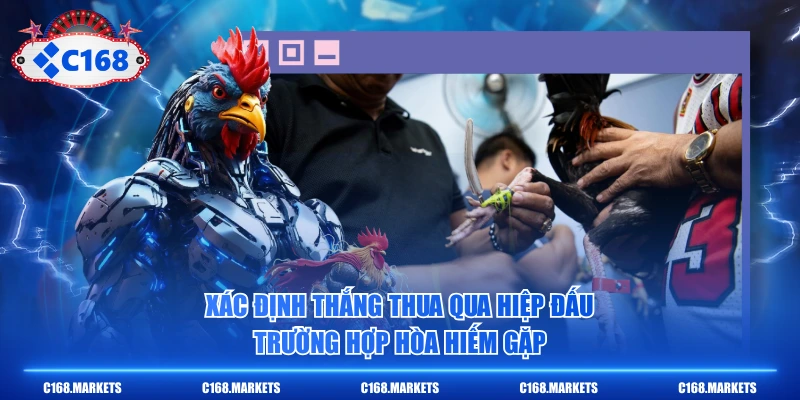 Chi Tiết Đá Gà Thomo - Luật Chơi 10 Hiệp X 60 Giây Đặc Trưng 3 Xác định thắng thua qua hiệp đấu, trường hợp hòa hiếm gặp